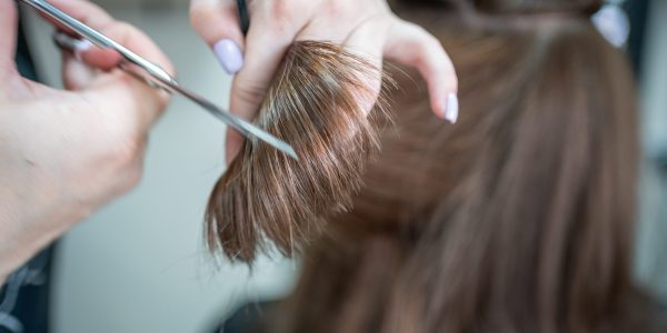 Close up of female hairdresser makes hairstyle on brunette woman in salon, cutting hair with scissors. High quality photo